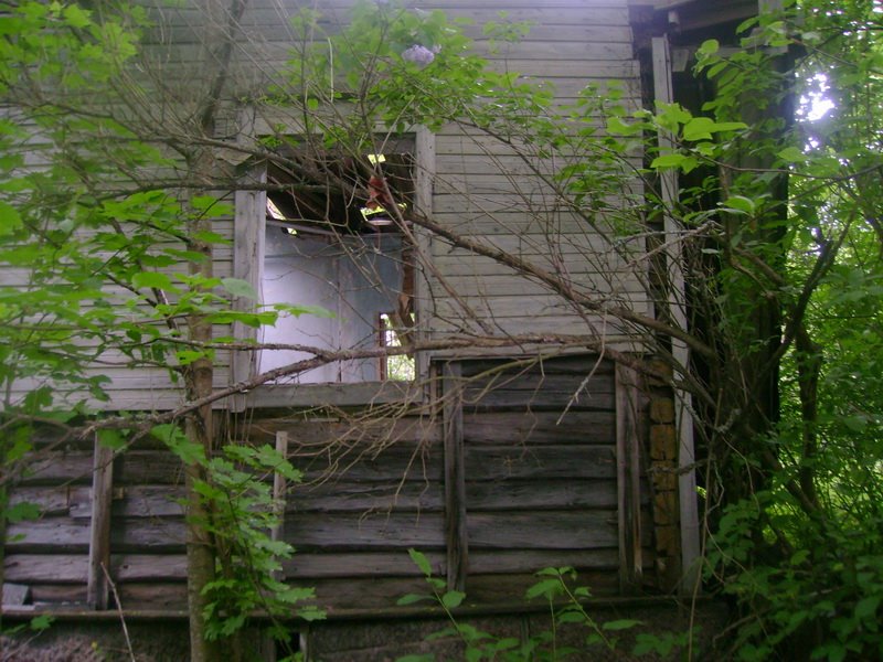 A well-preserved houses