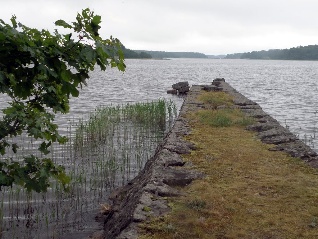 Дорога в море