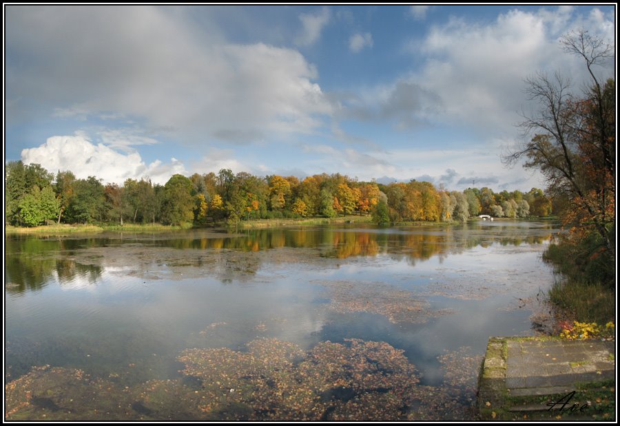 Gatchina. A mellow autumn.