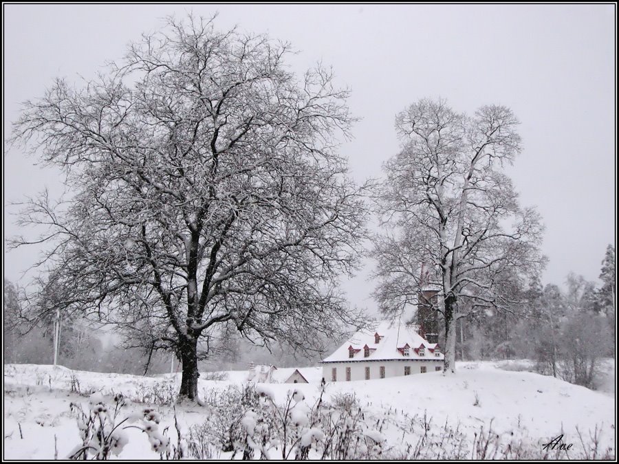 Gatchina. Prioratsky park.
