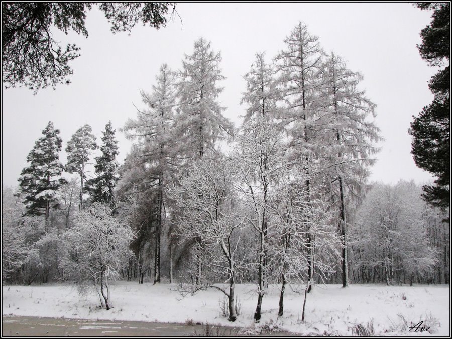Gatchina. Prioratsky park.