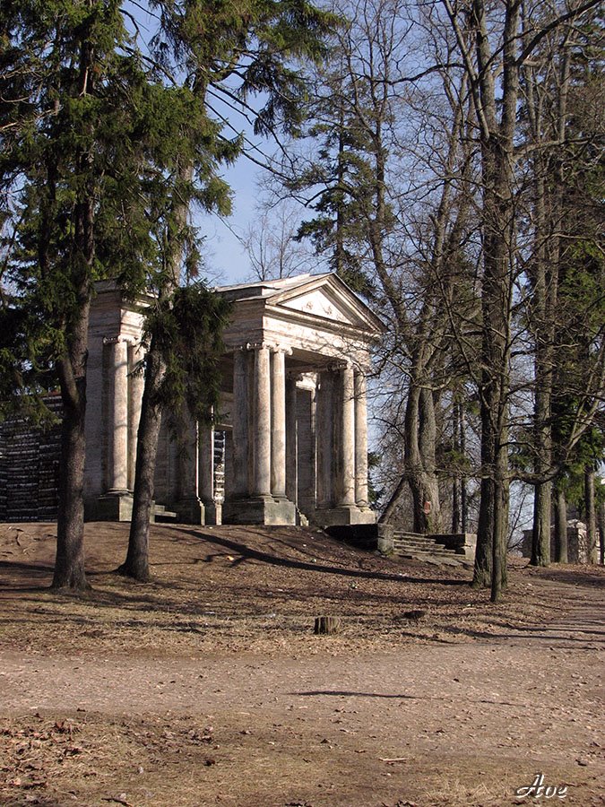 Gatchina. Park. Birch small house.