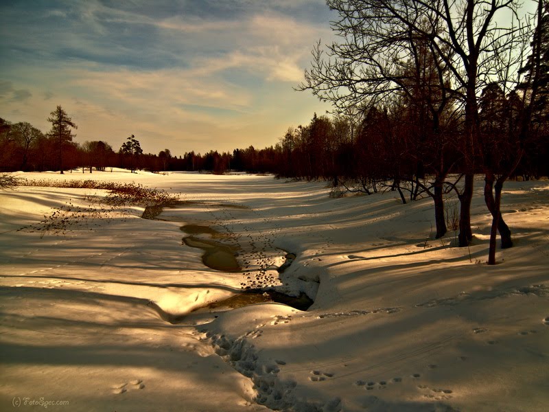 Весенний снег (spring snow)