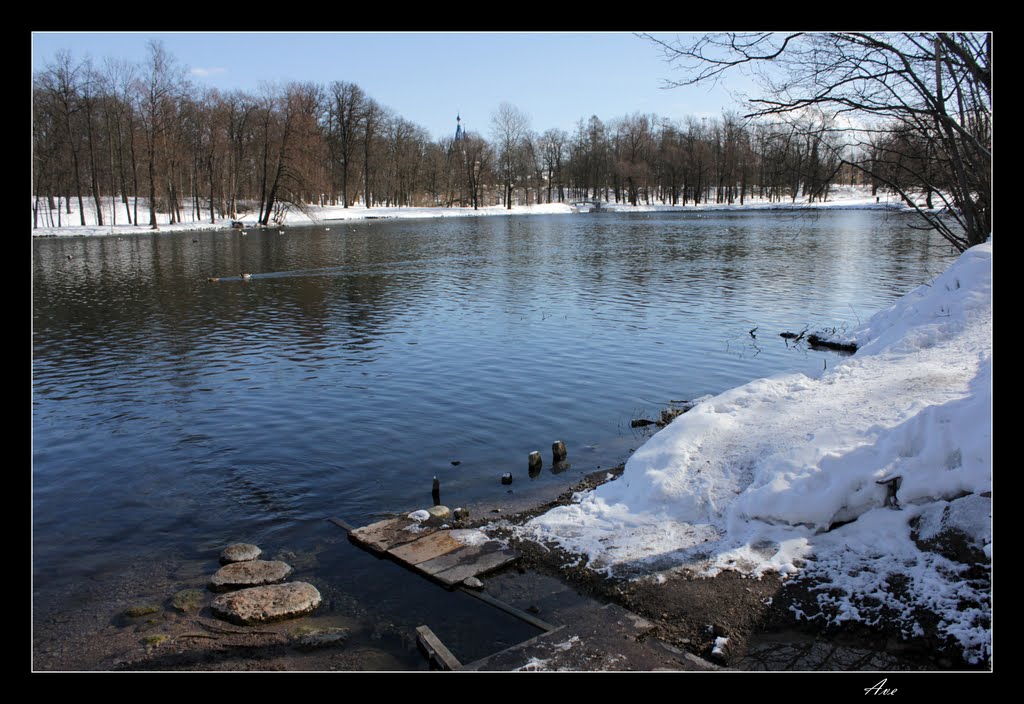 Gatchina. A kind on White lake.