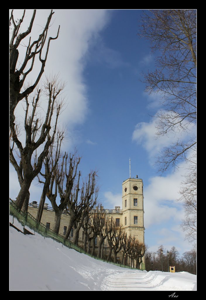 Gatchina. A palace.