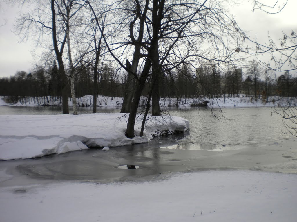 Гатчина. Белое озеро / Gatchina. Beloe lake