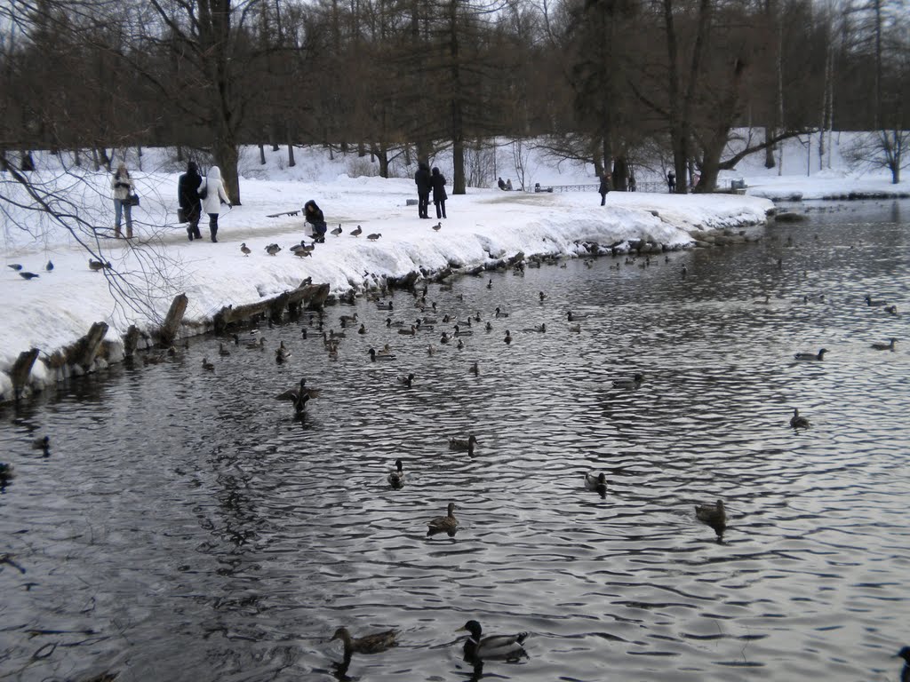 Гатчина. Белое озеро / Gatchina. Beloe lake