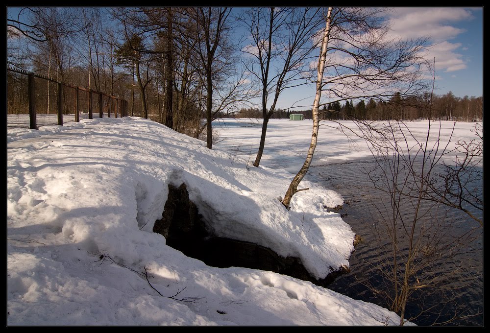 В парке ранней весной. Март 2011