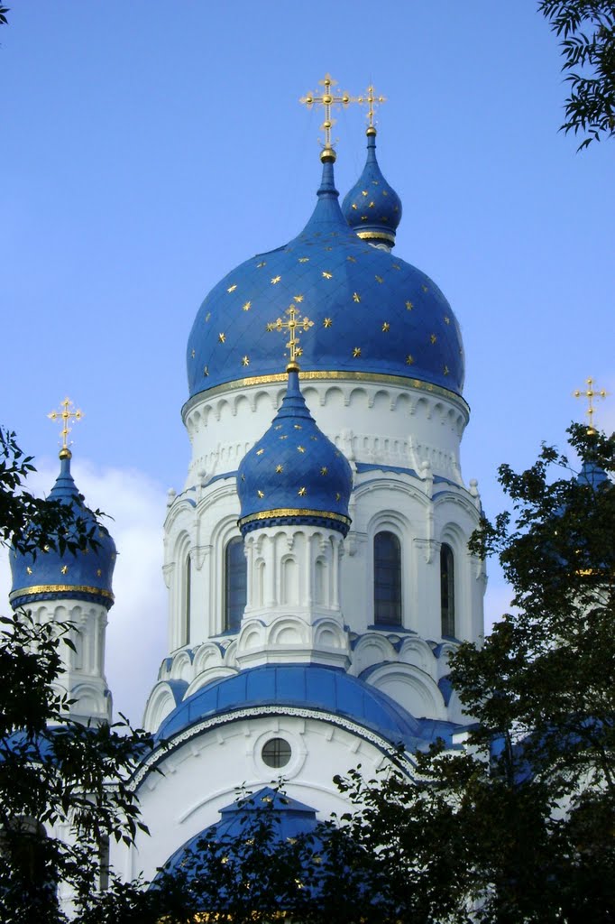 Небо в звездах...