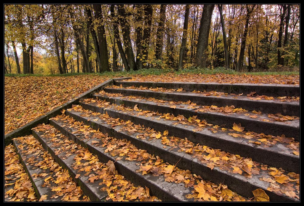 Лестница в Верхнем Голландском Саду. Осень 2011