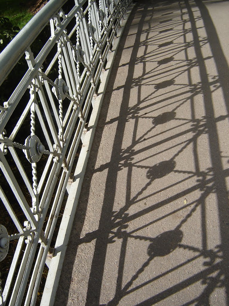 Shadow