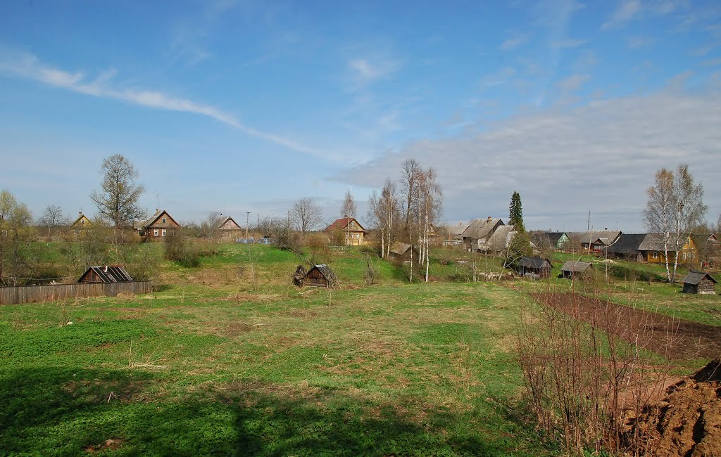 Деревня Кургино