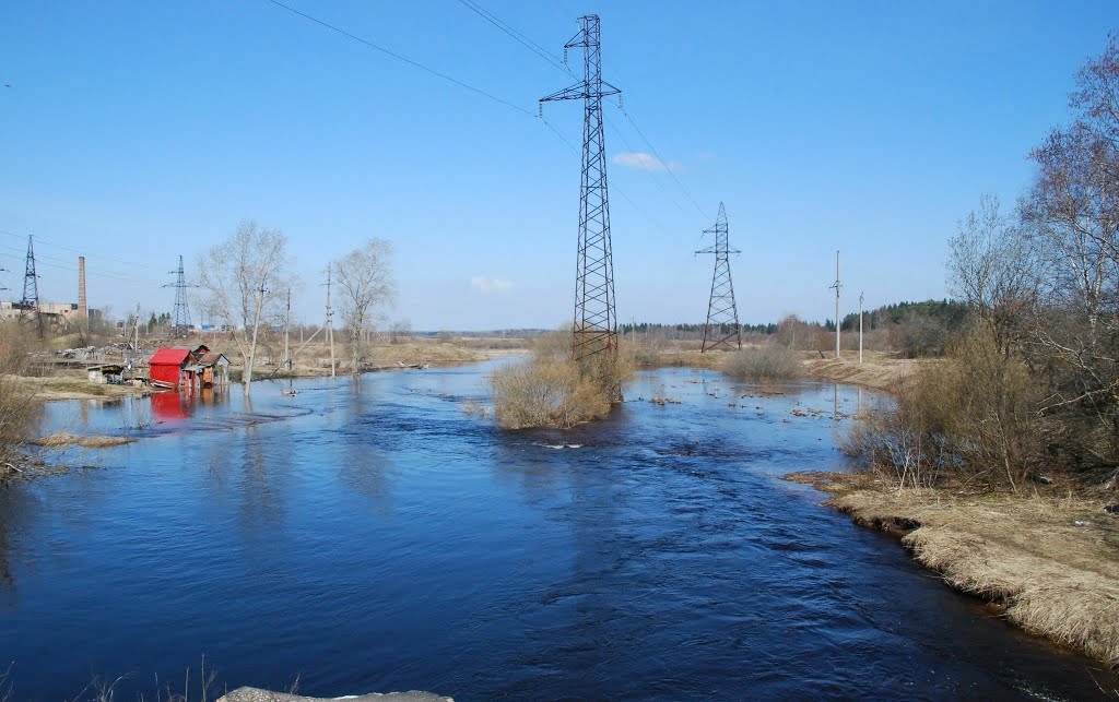 Разлив на Орлинке