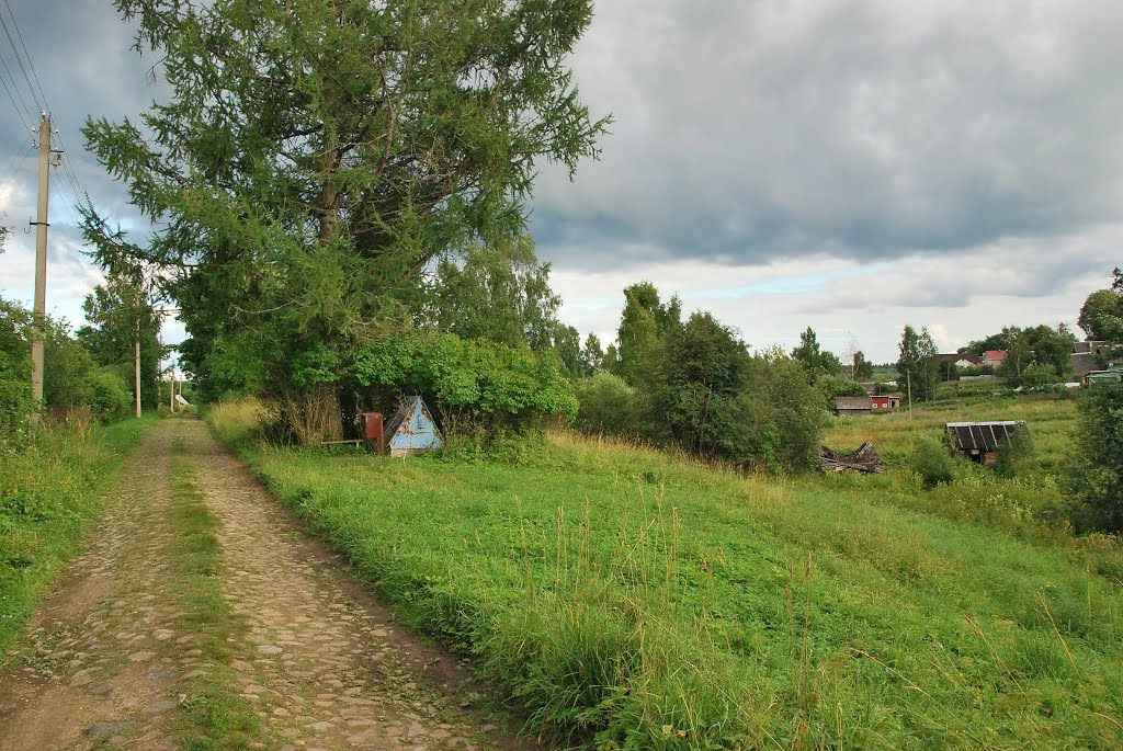 Деревня Кургино