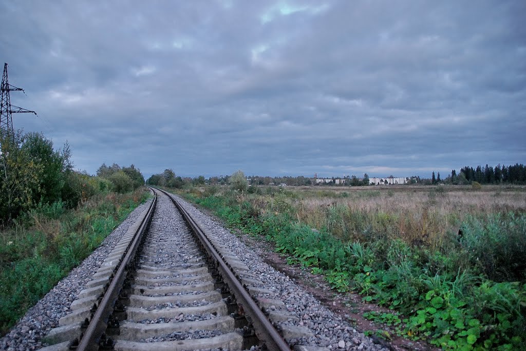 Железная дорога в Дружную Горку