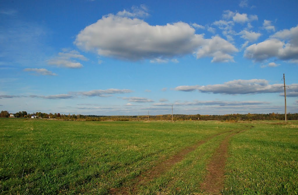 Полевая дорога