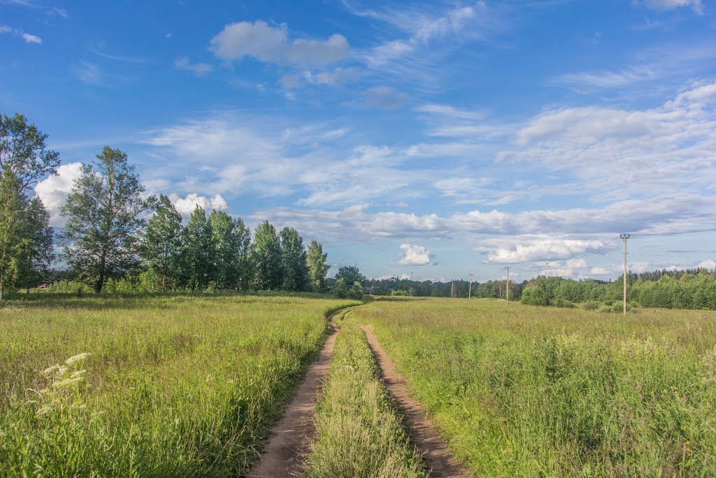 Полевая дорога