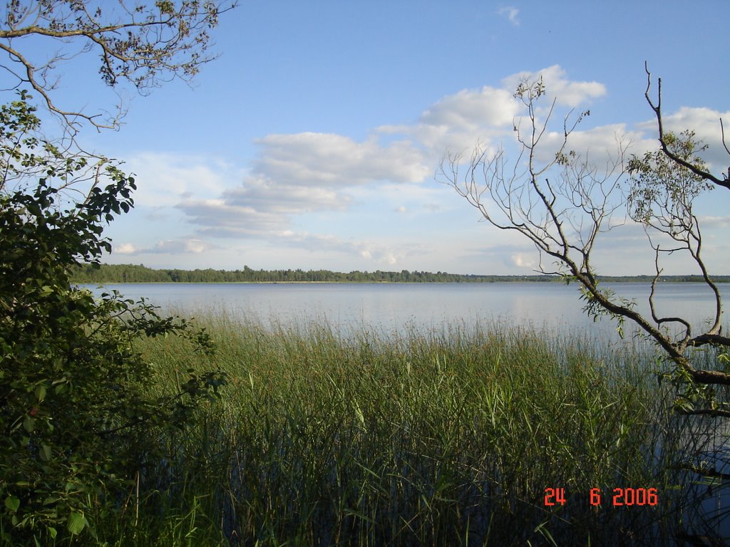Ozero Orlinskoe