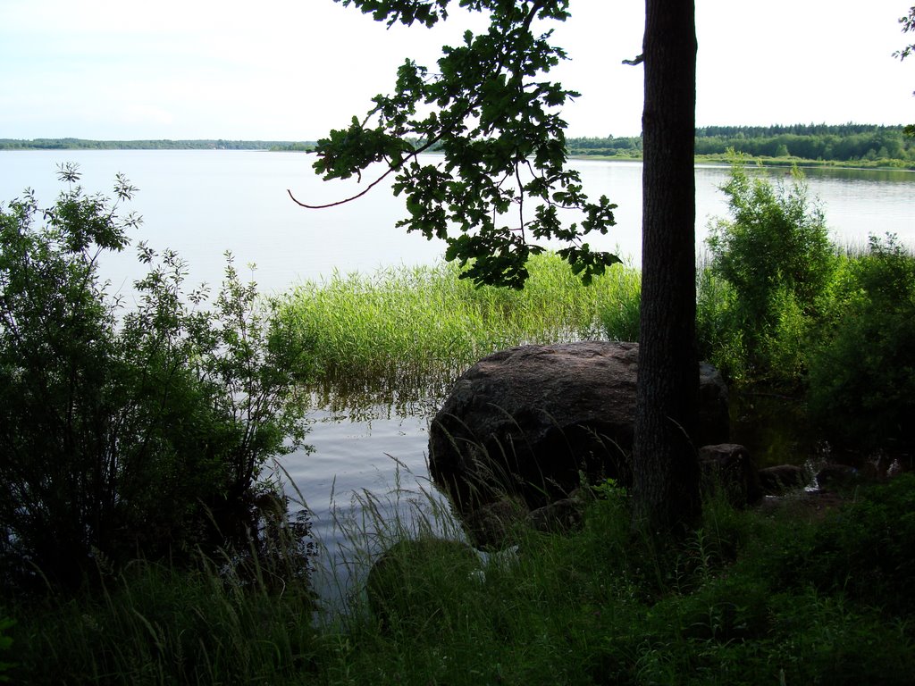 The Orlinsky lake