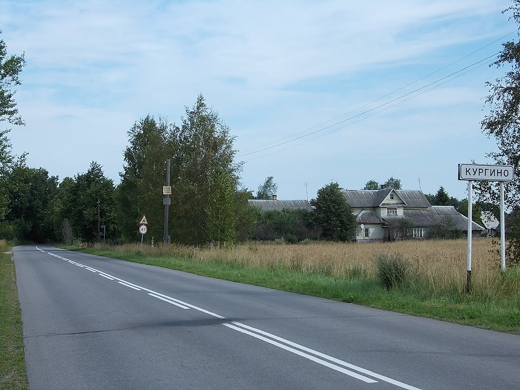 Шоссе в Кургино