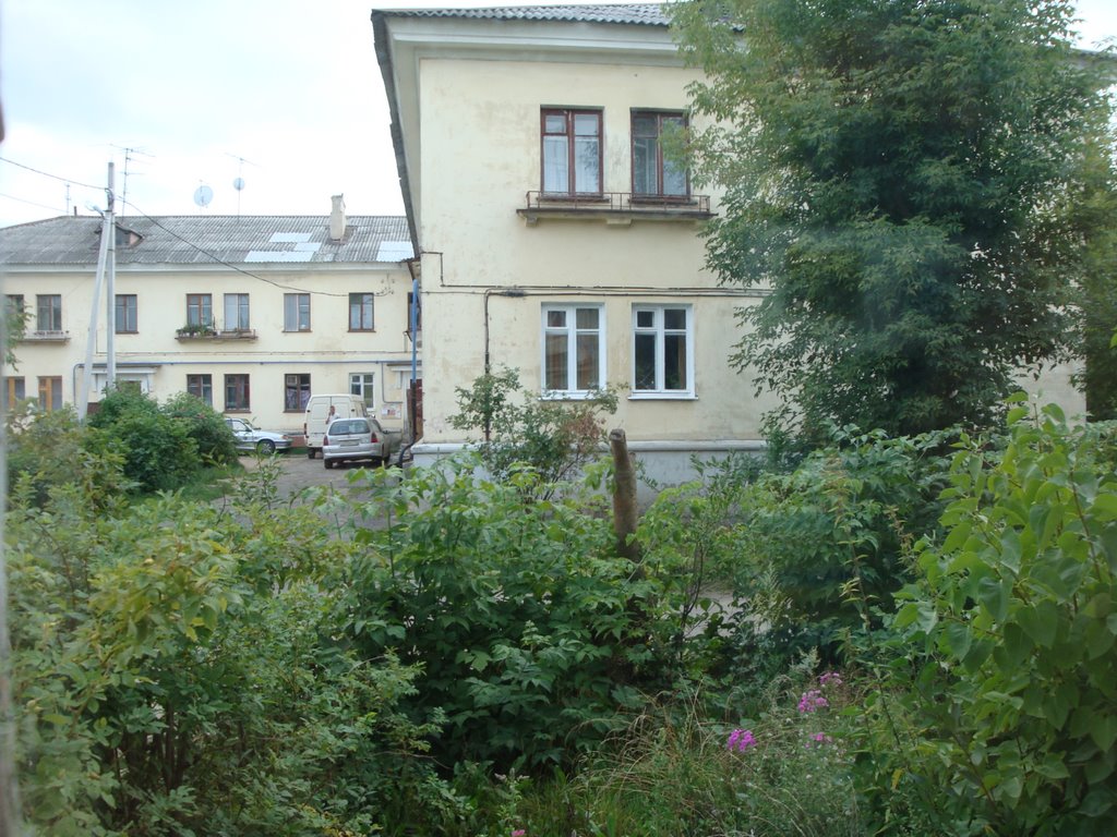 старый дворик в Дербышках