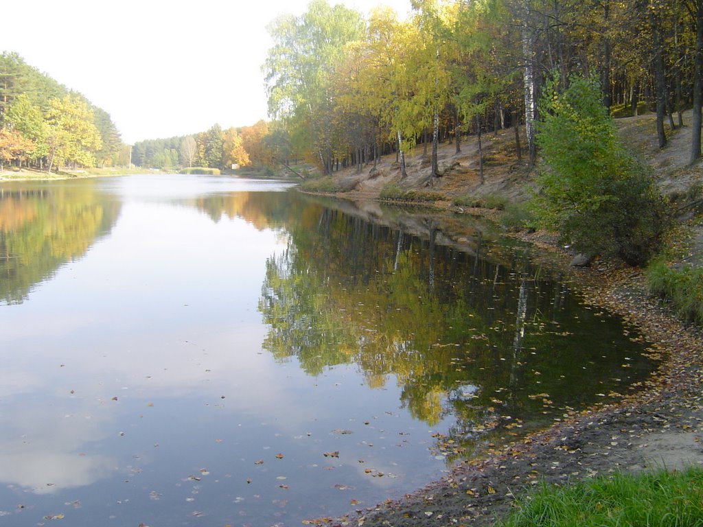 Бассейн в Дербышках