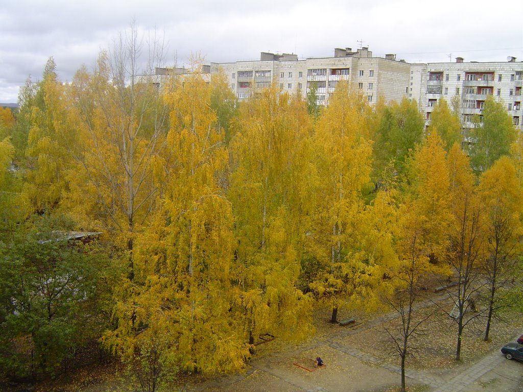 Вид с моего балкона