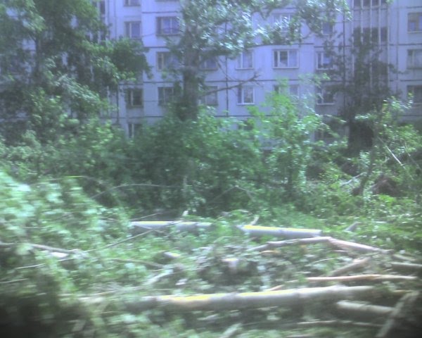 Посёлок Дербышки наутро после урагана