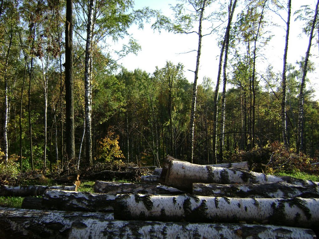 after tornado