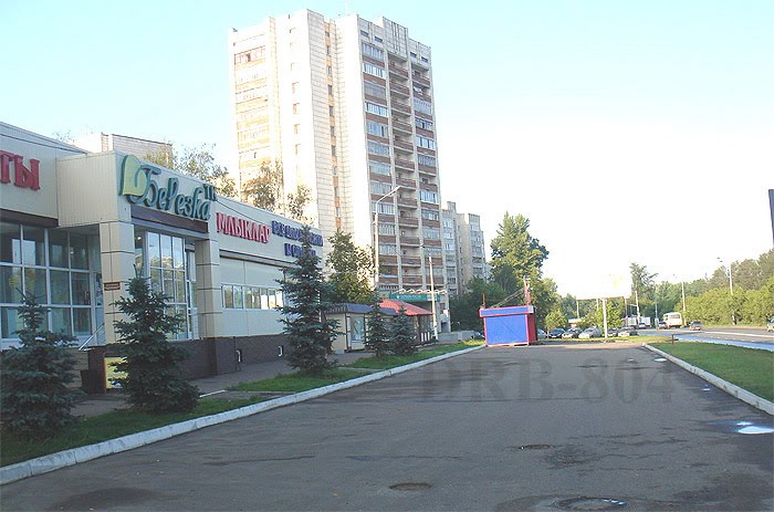 Улица Мира