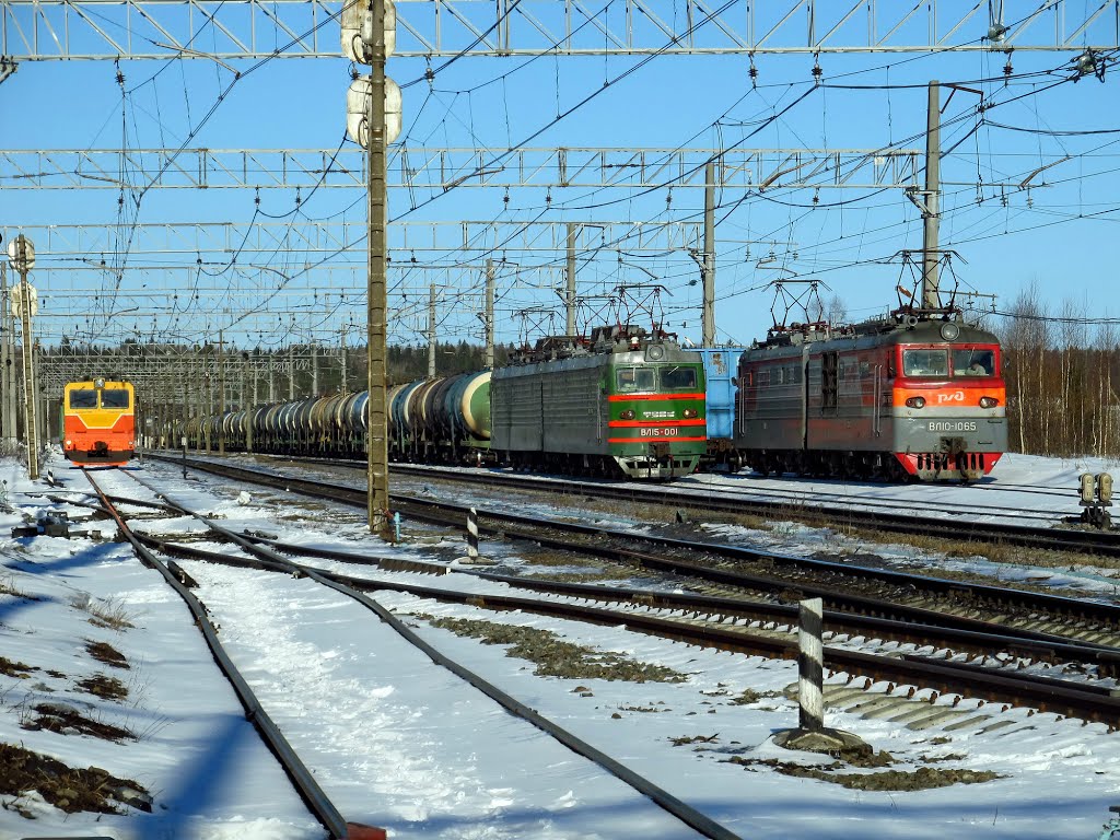 at station Efimovskaya
