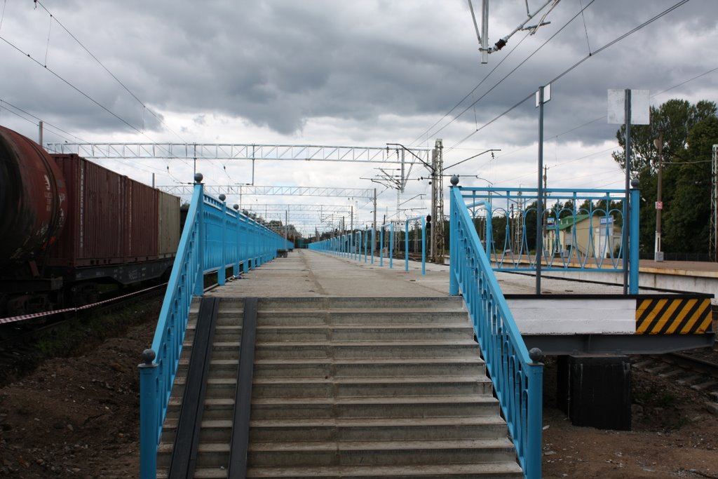 Platform