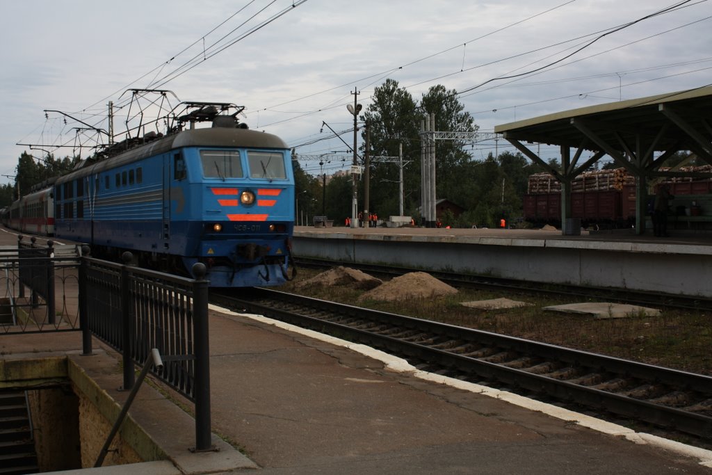 Sibelius train