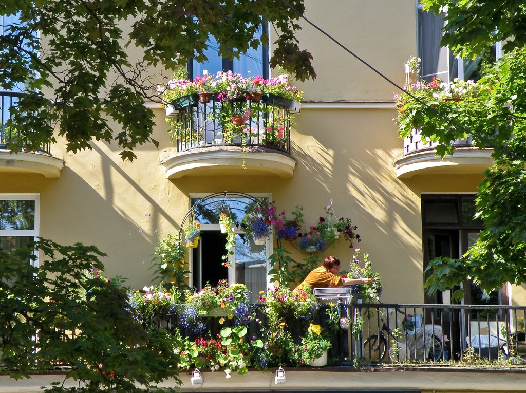 Цветы на балконе / Balcony with flowers