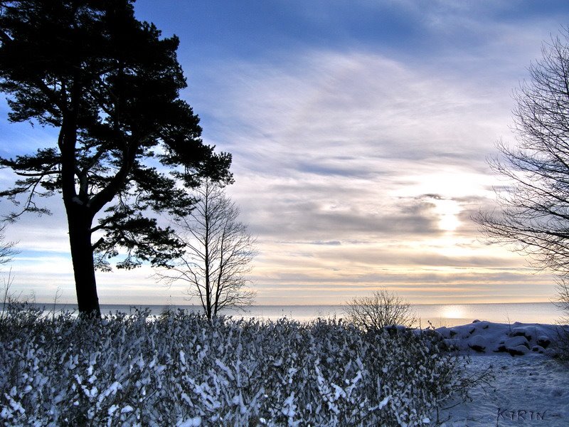 Finnish gulf,autumn 22.11.2005