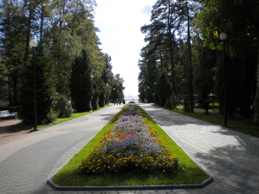 Зеленогорск / Zelenogorsk