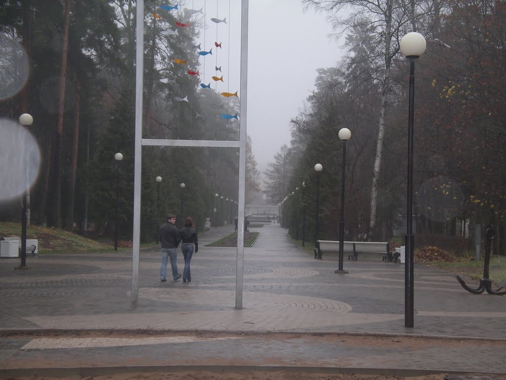 ЗЕЛЕНОГОРСК. Осенняя аллея. / Zelenogorsk. Autumn Alley.