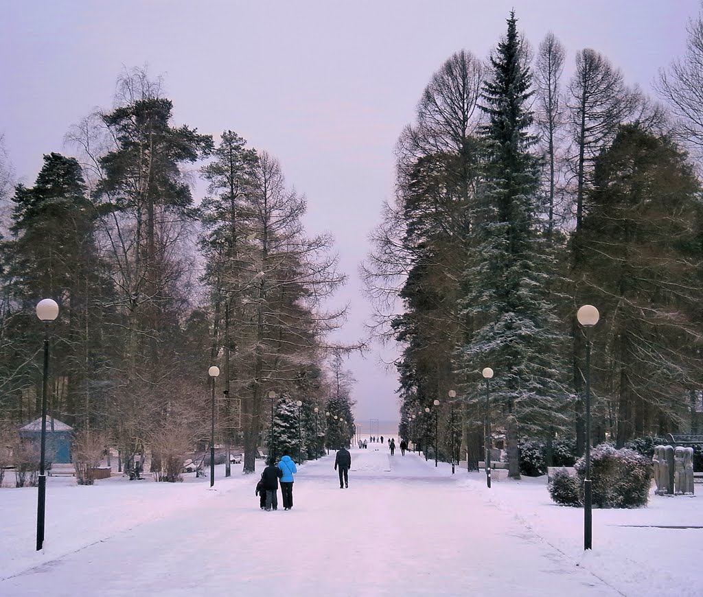 ЗЕЛЕНОГОРСК. Аллея к заливу. / Zelenogorsk. Alley to the gulf.