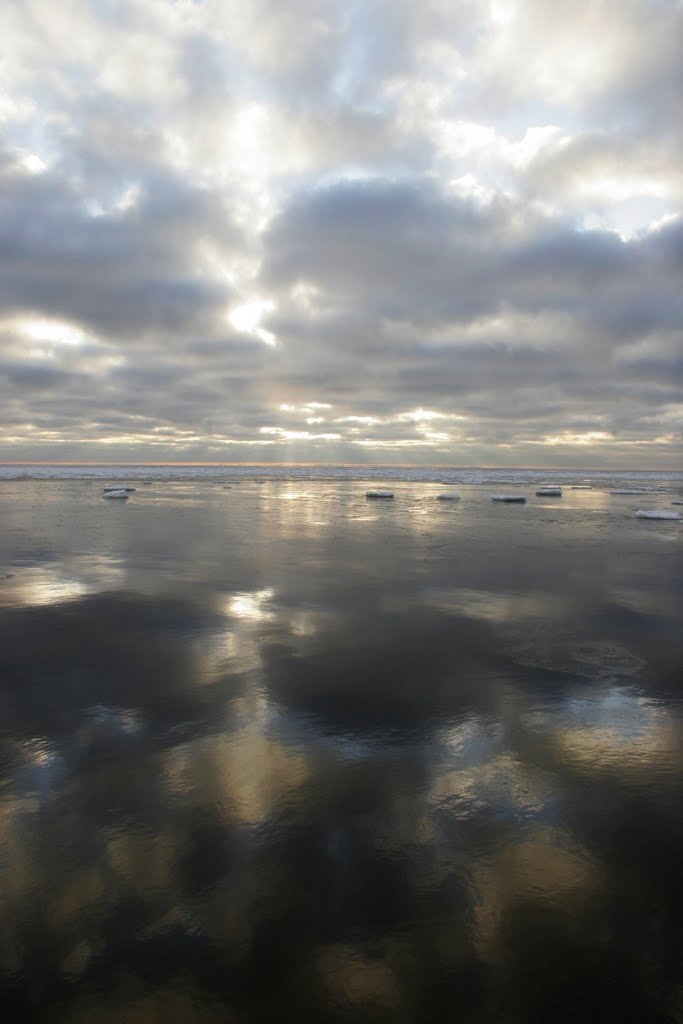 Winter reflection
