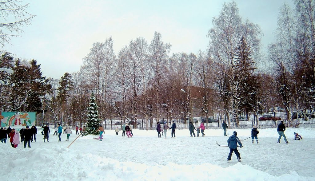 ЗЕЛЕНОГОРСК. Каток. / Zelenogorsk. Skating rink.