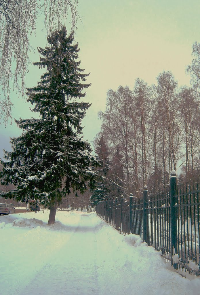 ЗЕЛЕНОГОРСК. Зимняя дорожка. / Zelenogorsk.