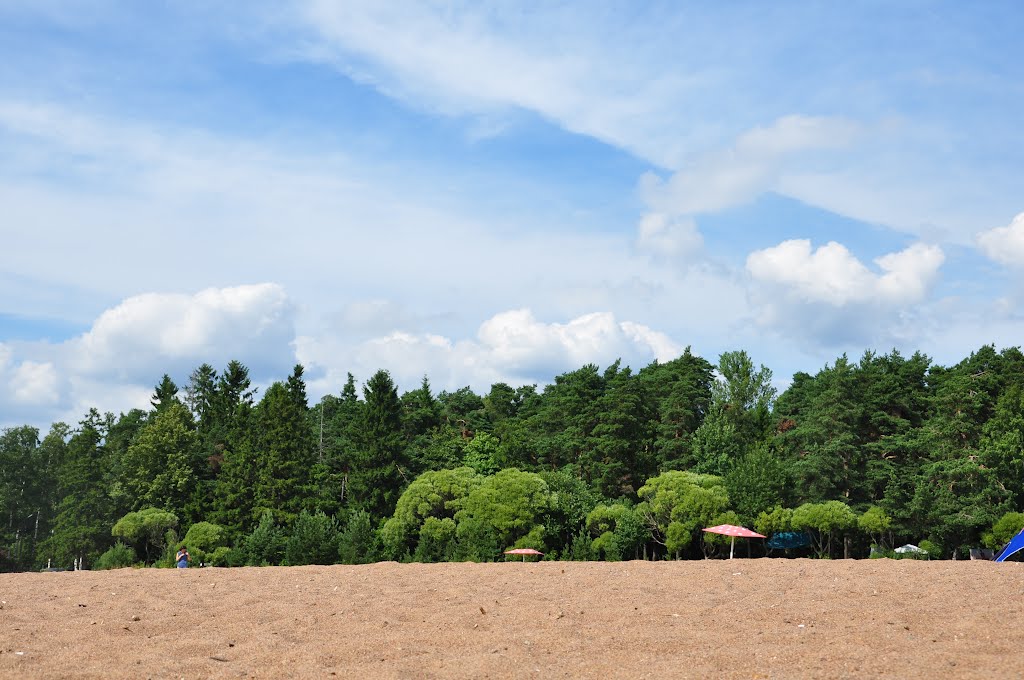 Зеленогорск. "Золотой пляж" / Zelenogorsk. "Golden Beach"