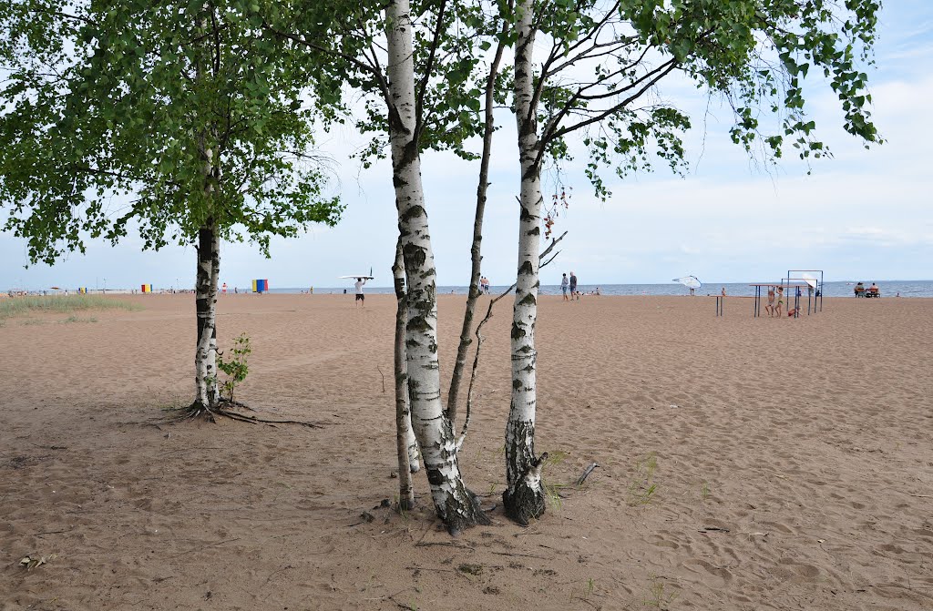 Зеленогорск. Финский залив. "Золотой пляж" / Zelenogorsk. Gulf of Finland. "Golden Beach"