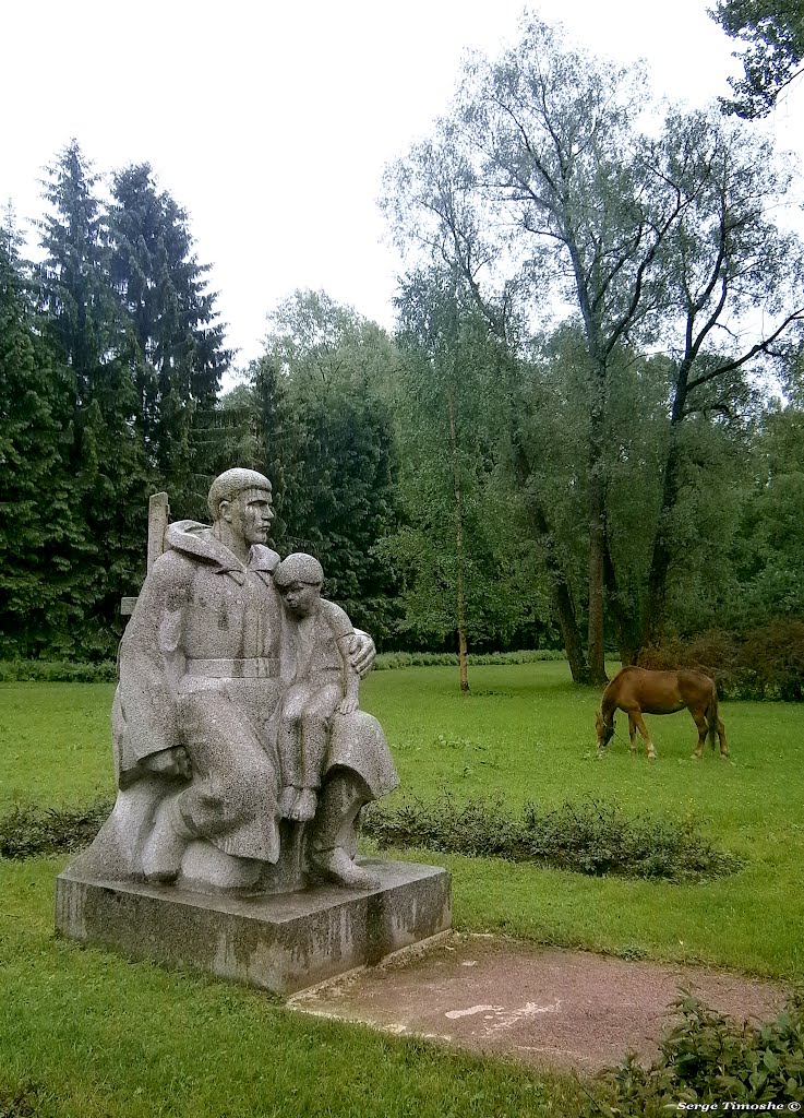 ЗЕЛЕНОГОРСК. Память. / Zelenogorsk. Memory.