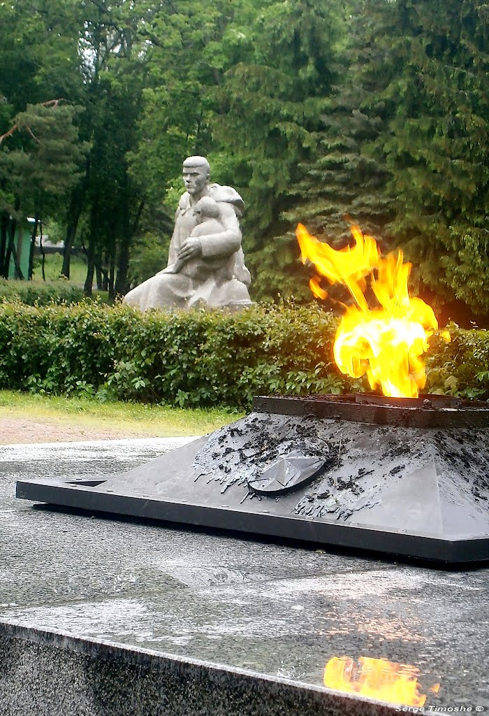 ЗЕЛЕНОГОРСК. Вечный огонь. / Zelenogorsk. Eternal Flame.