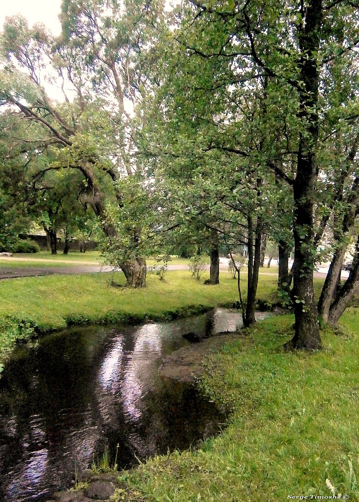 ЗЕЛЕНОГОРСК. Ручей Жемчужный. / Zelenogorsk. Brook.