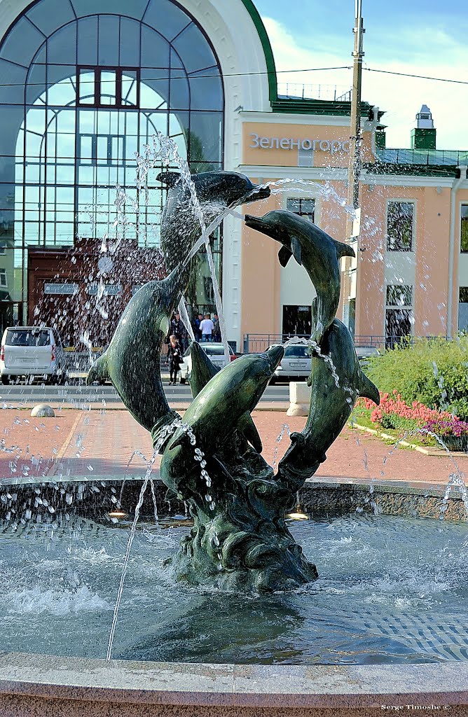 ЗЕЛЕНОГОРСК. Новый фонтан. / Zelenogorsk. New fountain.