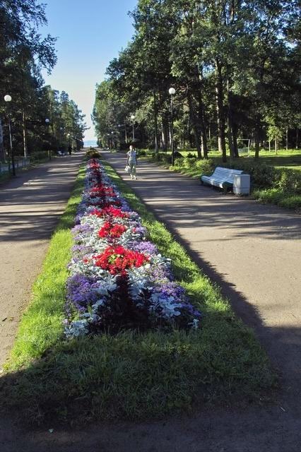 Зеленогорск. Приморская аллея / Zelenogorsk