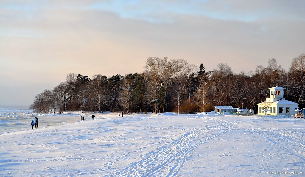 ЗЕЛЕНОГОРСК. Зимний пляж. / Zelenogorsk.  Winter beach.
