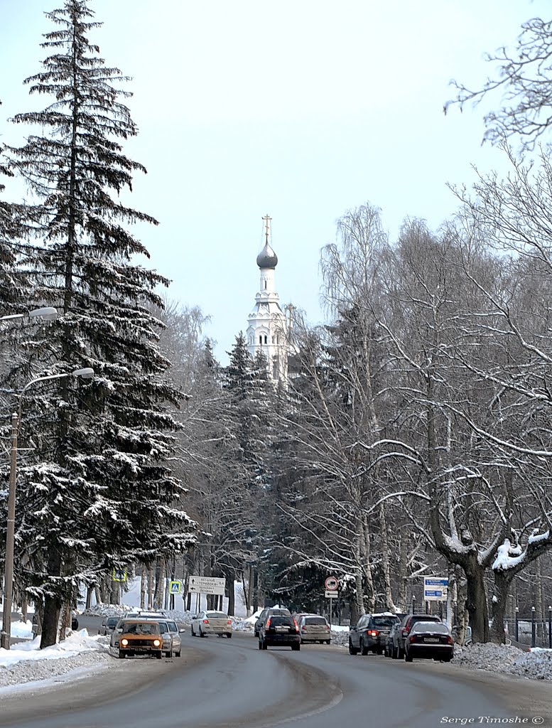 ЗЕЛЕНОГОРСК. Приморское шоссе. / Zelenogorsk. Primorskoe highway.